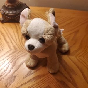 webkinz chihuahua